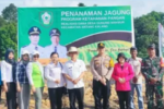 Babinsa Koramil 1015-08/Mentaya Hilir Hadiri Penanaman Jagung Di Wilayah
