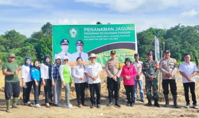 Babinsa Koramil 1015-08/Mentaya Hilir Hadiri Penanaman Jagung Di Wilayah