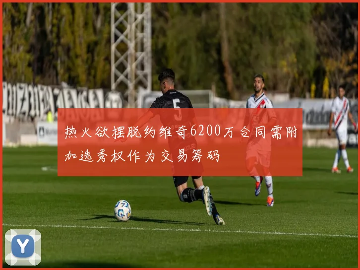 热火欲摆脱约维奇6200万合同需附加选秀权作为交易筹码