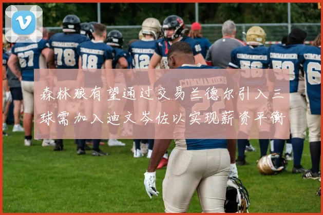 森林狼有望通过交易兰德尔引入三球需加入迪文岑佐以实现薪资平衡