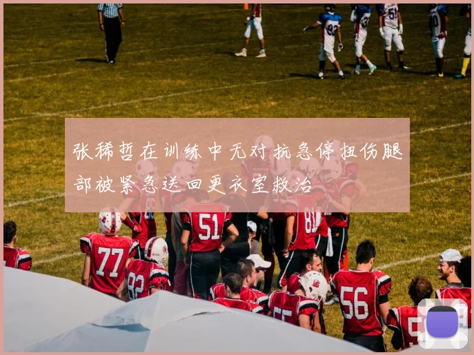 张稀哲在训练中无对抗急停扭伤腿部被紧急送回更衣室救治
